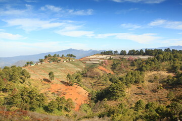 Beautiful scenery of Strawberry Plantation of Doi Angkhang Royal Project in Chiang Mai, Thailand 