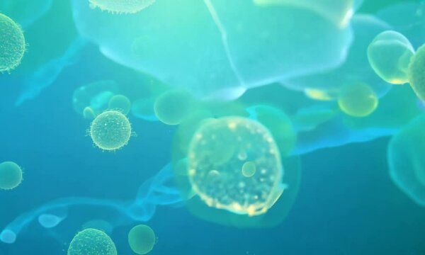 3d rendered illustration of an ray bacteria