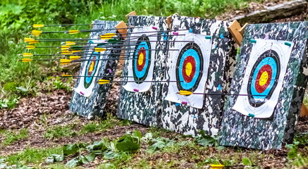 Targets with arrows fired from a bow close-up on a background of greenery in summer