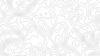 Obraz premium White wave paper curved reliefs abstract background. The topographic map contour in lines isolated.