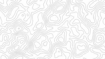 White wave paper curved reliefs abstract background. The topographic map contour in lines isolated.