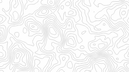 White wave paper curved reliefs abstract background. The topographic map contour in lines isolated.