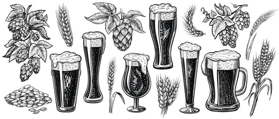 A detailed vector illustrations of a beer glasses with hops and wheat ears in a vintage style. The black and white beer set.