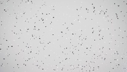 Abstract grey background showing a texture with black and white splashes.