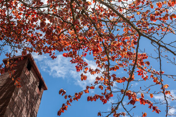 Fototapety na wymiar - Fototapeta24.pl