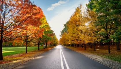 Fototapeta premium empty road and colorful yellow green and red trees in autumn park