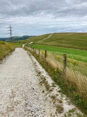 Track across English countryside. South Downs Way.