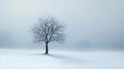 Creative winter card with tree, falling snow, winter concept, solid background