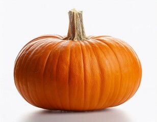 Obraz premium pumpkins against white background