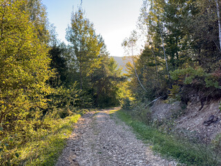 The landscape of Carpathian Mountains in the sunny weather. Perfect weather condition in the summer season