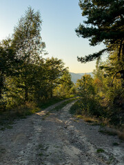 The landscape of Carpathian Mountains in the sunny weather. Perfect weather condition in the summer season