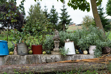 Garden decoration of an old farm house - stone dwarf statue, enameled buckets, watering can