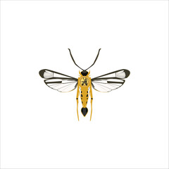 fashion vactor style Art & Illustration