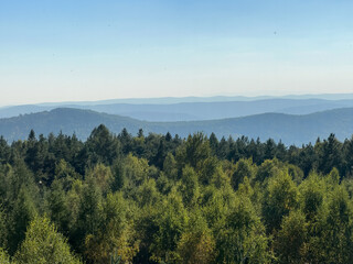 The landscape of Carpathian Mountains in the sunny weather. Perfect weather condition in the summer season