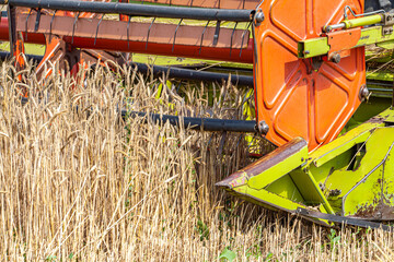 The combine harvester harvests ripe wheat. Ripe ears of the golden field against the blue sky. The...