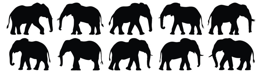 Elephant silhouettes set, animal pack of vector silhouette design, isolated background.