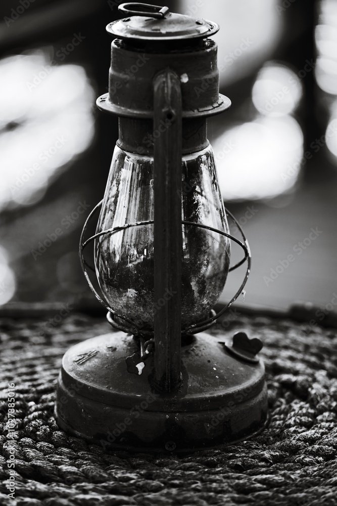 Poster A simple yet striking image of a light bulb attached to a tree branch, with the contrast between the bright light and the dark surroundings creating a striking visual effect.