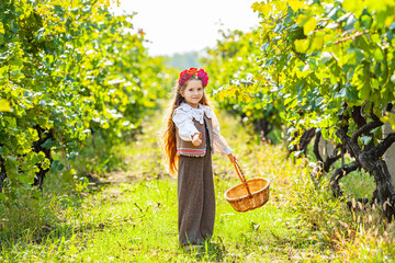 Girl with a basket full of grapes next to a press to squeeze the juice