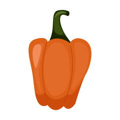 Fall Pumpkin,Orange pumpkin on a white background. Autumn Harvest Icon Symbol Vector Illustration Background