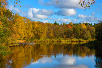 Fototapeta premium .beautiful river valley with yellow trees on a sunny autumn day