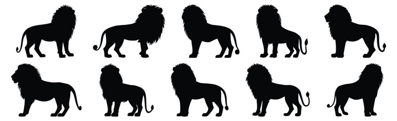 Lion silhouettes set, animal pack of vector silhouette design, isolated background.