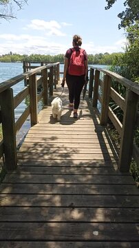 young Caucasian girl with a red backpack walks along the wooden walkway with her dog in the direction of the lake with an umbrella in her hand