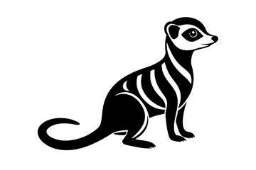 meerkat vector illustration