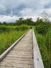 Ein langer Weg zum Ziel über einen Holzsteeg