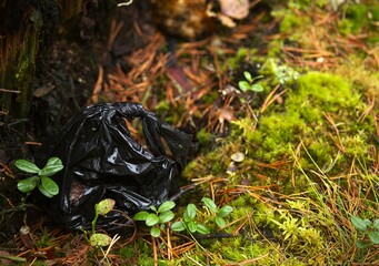 Garbage bag in the autumn forest, environmental pollution 