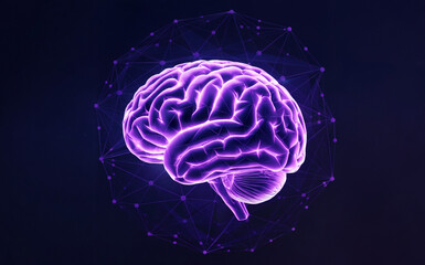 A vividly detailed, three-dimensional representation of a human brain. The brain is depicted in a purple hue, surrounded by a network of interconnected lines and dots, forming a geometric structure.