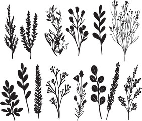 Set plants. Hand drawn vector illustration