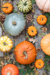 pumpkins still life 