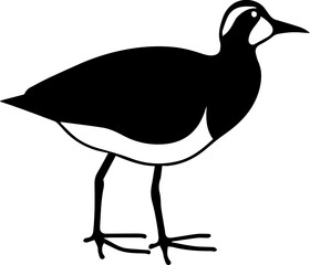 Obraz premium Jacana icon