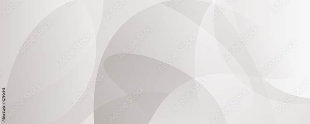 Poster white background modern curve abstract with dynamic circle elegant. vector illustration template des