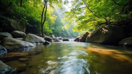 Obraz premium Serene Stream with Sunlight Through Green Leaves
