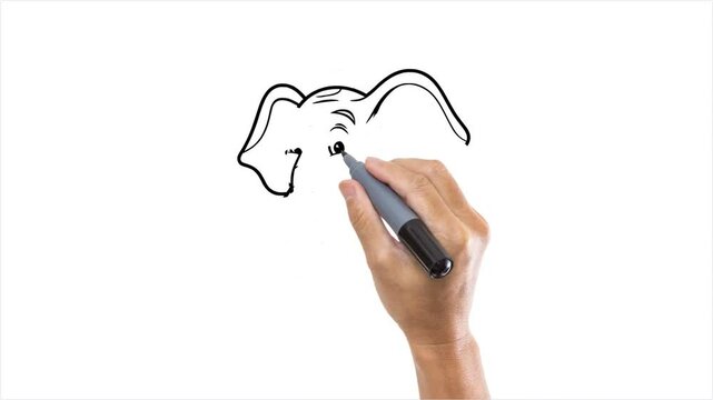 COLORING BOOK 