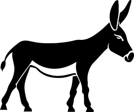  Kiang icon
