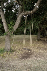 Un'altalena appesa a un albero nel mezzo di un parco. 3235