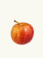 a red and yellow apple