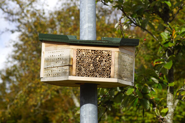 A bee hotel around a lamppost. Trees. Autumn, October, Netherlands