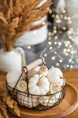 Still-life. White decorative pumpkins in an iron loft basket on the table in the home interior of the living room on the background of a beautiful side of lights. The concept of a cozy autumn.