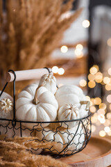 Still-life. White decorative pumpkins in an iron loft basket on the table in the home interior of the living room on the background of a beautiful side of lights. The concept of a cozy autumn.