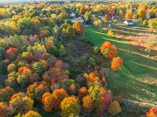  aerial of autumn landscape of colorful woodland in rural area