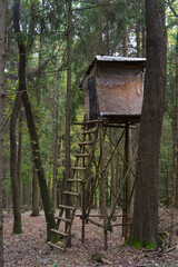 old wooden tree house in forest