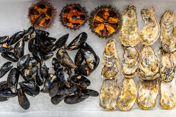 Assorted fresh seafood. Closed oysters, mussels in flaps and open sea urchins on ice