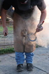 Farrier shoeing trimming and shoeing a horse