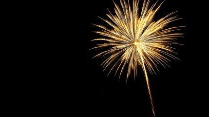 Elegant Golden Fireworks Display on Black Background for New Year's Eve Celebrations, Capturing Dynamic Energy and Festive Charm.
