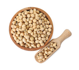 Soy beans in bowl and scoop isolated on white, top view