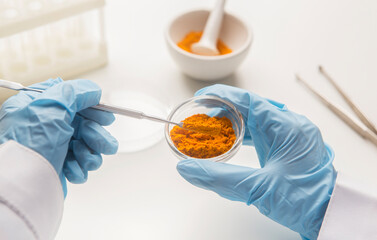 Medicine research of curcuma properties with the help of laboratory equipment, man in gloves testing turmeric powder