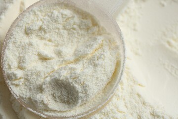 Pile of protein powder and scoop, closeup